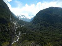 Lake Gunn Nature Walk