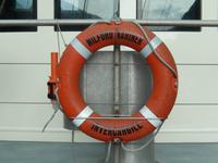 Fahrt im Milford Sound