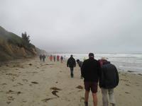 Moeraki Boulders - Steinkugeln
