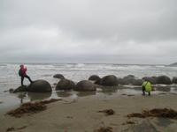 Moeraki Boulders - Steinkugeln