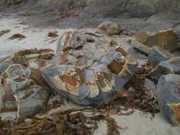 Moeraki Boulders - Steinkugeln