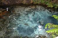 kochendes Wassereloch im Mitai Village