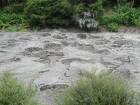 kochender Schlamm im Te Puia Park