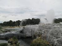 Geysir im Te Puja Park