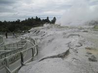 Geysir im Te Puja Park