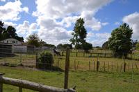 auf der Farm von Ron und Beth