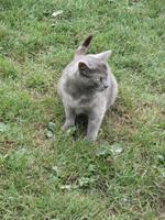 auf der Farm von Ron und Beth