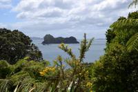Wanderung Cathedral Cove