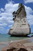 Wanderung Cathedral Cove