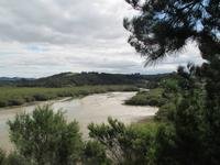 Spaziergang bei Paihia