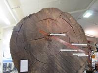 Kauri-Museum in Matakohe