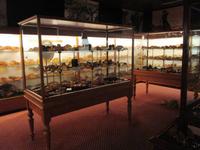 Bernsteinausstellung im Kauri-Museum