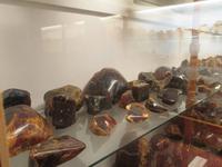 Bernsteinausstellung im Kauri-Museum