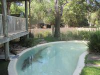 im Wildlife Park - Krokodil