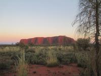 Sonnenaufgang am Ayers Rock