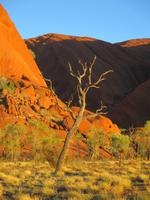 Spaziergang am Ayers Rock