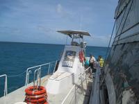 Katamaranfahrt zum Great Barrier Riff