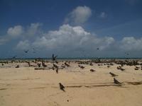 Katamaranfahrt zum Great Barrier Riff