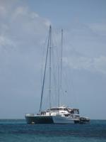 Katamaranfahrt zum Great Barrier Riff