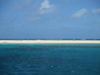 Katamaranfahrt zum Great Barrier Riff