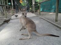 Rainforest Habitat Wildlife Park