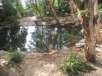 Rainforest Habitat Wildlife Park