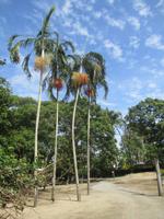 Rainforest Habitat Wildlife Park