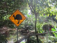 Rainforest Habitat Wildlife Park