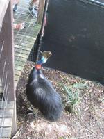 Rainforest Habitat Wildlife Park