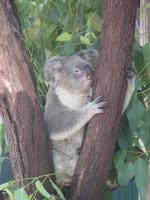 Rainforest Habitat Wildlife Park