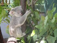 Rainforest Habitat Wildlife Park