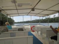 Fahrt auf dem Daintree River