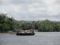 Fähre über den Daintree River