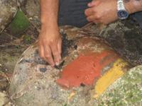 Farben der Aboriginees