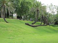 Adelaide