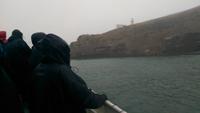 Albatrosstour