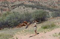 Alice Springs