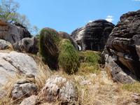 Arnhemland