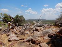 Arnhemland