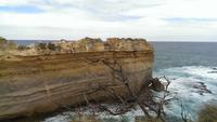 Ausflug Great Ocean Road