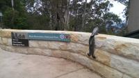 Ausflug in die Blue Mountains