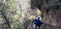 Ausflug zu den Blue Mountains