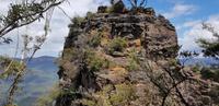 Ausflug zu den Blue Mountains