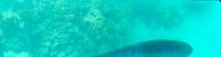 Ausflug zum Great Barrier Reef