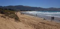 Ausflug zur Great Ocean Road
