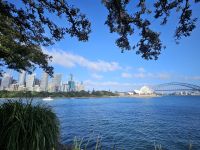 Aussicht auf Sydney