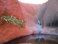 Ayers Rock
