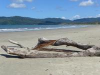 Blick aufs Meer im Daintree Nationalpark