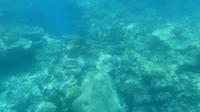 Blick aus dem Tauchboot