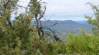 Blue Mountains und Bergteufel